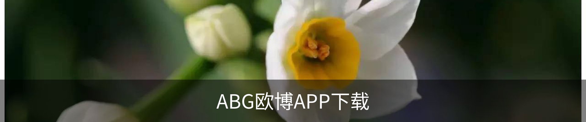 ABG欧博APP下载